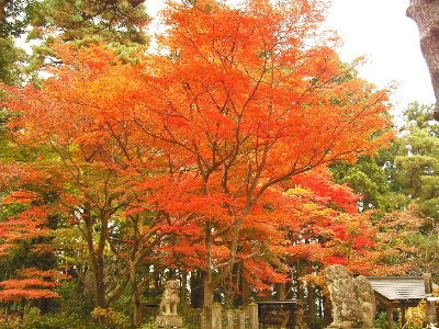 春日山神社境内
