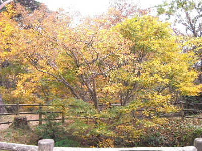 本丸下の大井戸