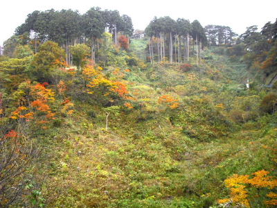 春日山の秋