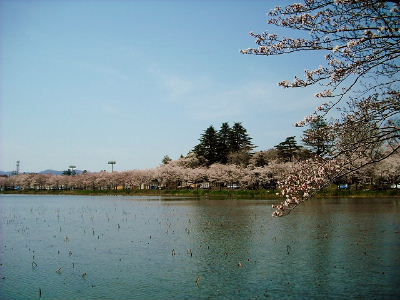 高田城100万人観桜会