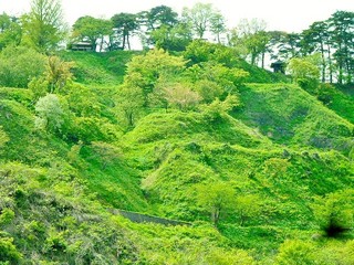 新緑の春日山城跡、本丸跡、右側は、毘沙門堂です。